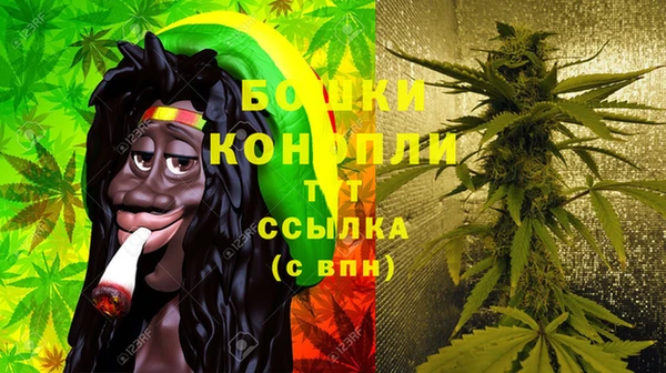 шишки Алексеевка