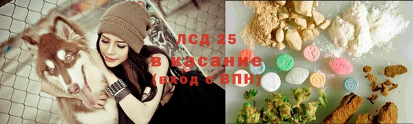 соль ск Алзамай