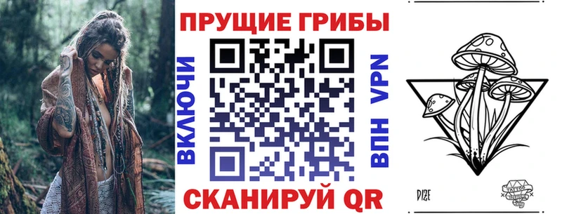 Псилоцибиновые грибы мицелий  как найти закладки  Константиновск 